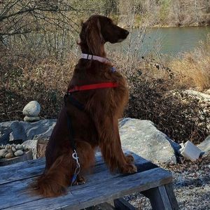 Meet your Posher, Gayle